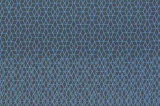 Momentum Gradient: Moody Blue